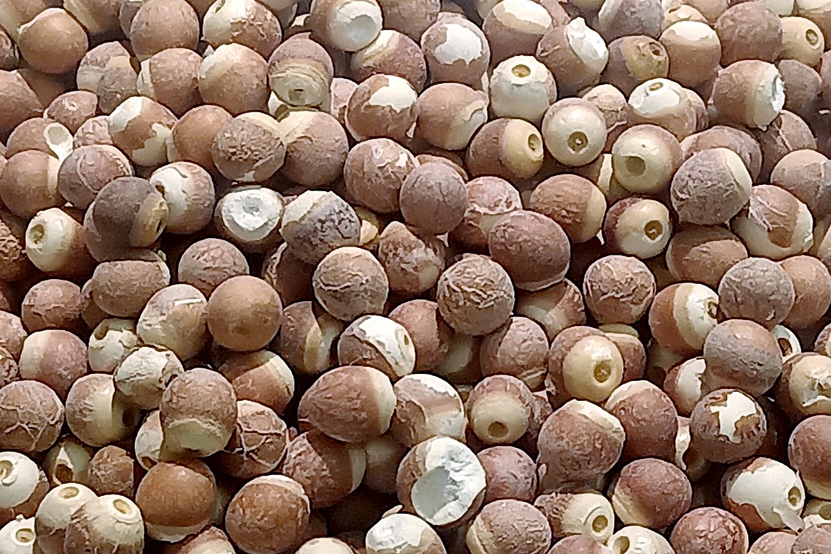 Popped makhana product visual for bulk foxnut sourcing